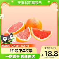 RT-Mart 大润发 南非西柚葡萄柚柚子2粒装700g香甜优质即食鲜果时令当季新鲜水果