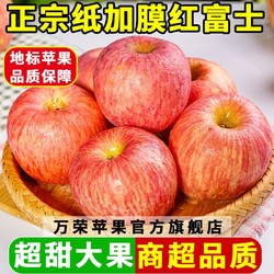 万荣苹果纸加膜红富士苹果净重4.5斤80mm冰糖心