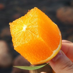 鲜仑京地达四川爱媛38号果冻橙 8斤装优级果柑橘桔子新鲜水果