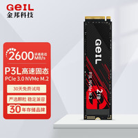 GeIL 金邦 SSD固态硬盘M.2(NVMe协议) 高速笔记本台式固态硬盘P3L系列 1TB