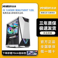 yeston 盈通 i5 12490F/RX6750XT 高配电竞追光游戏高手DIY台式组装电脑