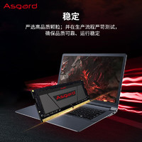 Asgard 阿斯加特 DDR4 3200MHz 笔记本内存  16GB