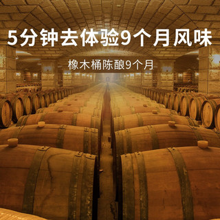 CHANGYU 张裕 烟台 张裕解百纳 年货礼盒送礼 国产红酒 蛇龙珠 品酒大师干红葡萄酒750mL礼盒