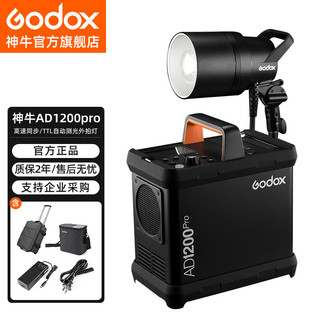 Godox 神牛 AD1200Pro外拍闪光灯大容量锂电池摄影灯高速TTL便携电箱套装