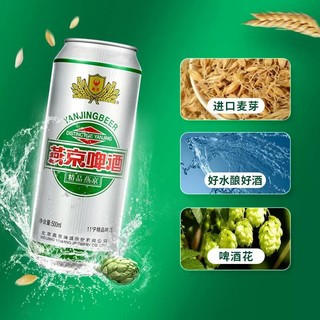 YANJING BEER 燕京啤酒 精品11度 500ml*12听*2箱