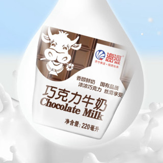 海河乳业 巧克力牛奶 220ml*10袋