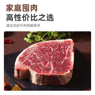 zenew 真牛馆 M5肉芯和牛牛排牛霖套装1kg 谷饲400天和牛