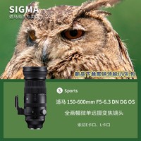 SIGMA 适马 150-600mm F5-6.3 DN DG OS S版 远摄长焦变焦微单镜头E卡口
