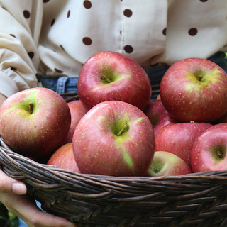 京鲜生 四川大凉山丑苹果 盐源富士 3kg  单果160g以上 生鲜 新鲜水果