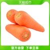 芸岭鲜生有机胡萝卜250g/包蔬菜新鲜光滑饱满
