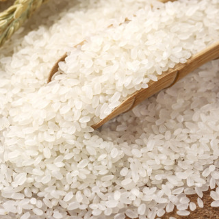 五湖东北珍珠大米5kg/袋中粮珍珠米粳米精选营养品质优质食用