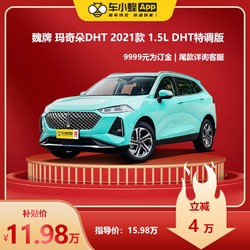 Great Wall 长城 玛奇朵 2021款 1.5L DHT特调版 油电混合