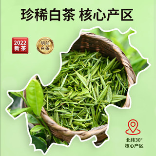 TANGPU 唐朴 明前特级白茶安吉绿茶新茶春茶茶叶礼盒装250g 年货送礼礼品