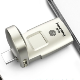 FANXIANG 梵想 FP651 USB3.2 U盘 黑色 512GB Type-C/USB-A