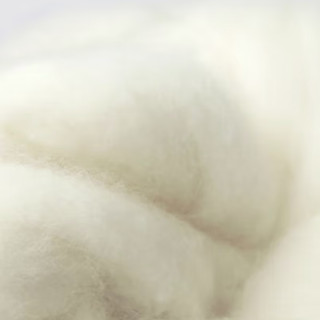 BLISS 百丽丝 暖羊洋 澳洲羊毛冬被 200*230cm