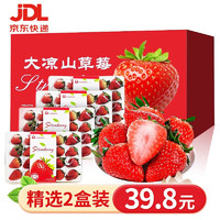 沙窝曙光（shawoshuguang）（JD/顺丰）草莓新鲜丹东99红颜草莓3斤时令草莓 生鲜水果 大凉山草莓带箱1.9斤2盒装