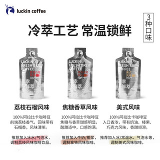 瑞幸咖啡 咖啡液混合风味组合共25ml*36袋