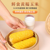 惠寻 京东自有品牌 黄糯玉米8根黏玉米杂粮东北玉米粗粮真空装