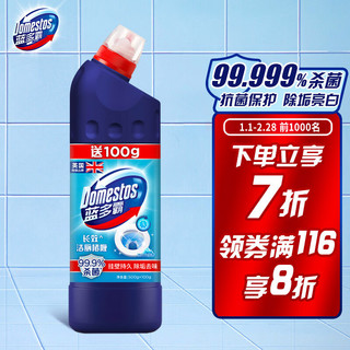 DOMESTOS 蓝多霸 洁厕灵 冰川山泉香 500g+100g除菌洁厕