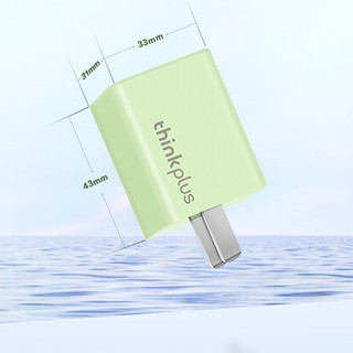 ThinkPad 思考本 Nano 手机充电器 Type-C 65W 奶油青提绿+双Type-C 数据线 1.8m