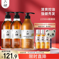 六神 生姜组套(洗发水750ml*2+润发乳750ml*1 新老款随发)