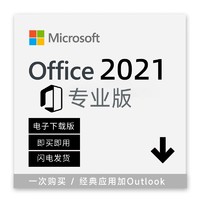 Microsoft 微软 Office 2021 专业版