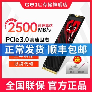 GeIL 金邦 P3L固态硬盘M.2 PCle 2280 256GB