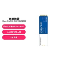 西部数据 WD Blue SN570 SSD 固态硬盘 M.2接口