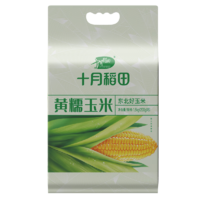 十月稻田 黄糯玉米  1.6kg 200g*8根