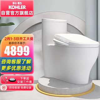 KOHLER 科勒 水漾系列 智能马桶套装 K-4165T-S-0智能马桶+K-18649T-0智能盖版 400mm坑距