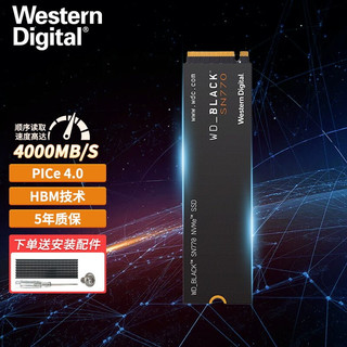 西部数据（WD） 固态硬盘 M.2接口 NVMe协议 笔记本台式机电脑高速SSD 2280 黑盘SN770 250G (PCIe4.0)