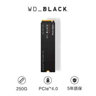 西部数据（WD） 固态硬盘 M.2接口 NVMe协议 笔记本台式机电脑高速SSD 2280 黑盘SN770 250G (PCIe4.0)