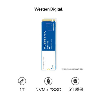 西部数据（WD） 固态硬盘 M.2接口 NVMe协议 笔记本台式机电脑高速SSD 2280 蓝盘SN570 2TB (PCIe3.0)