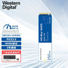 西部数据（WD） 固态硬盘 M.2接口 NVMe协议 笔记本台式机电脑高速SSD 2280 蓝盘SN570 250G (PCIe3.0)