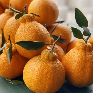 真丑橘不知火四川丑柑丑八怪橘子丑桔当季孕妇新鲜水果桔子包邮