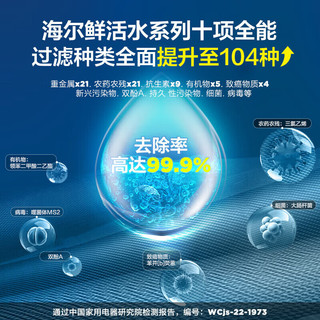 海尔（Haier）净水器家用净水机1000G大通量套装双出水厨下式RO反渗透直饮母婴直饮过滤器管线机10H11+HGR2207