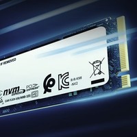 Kingston 金士顿 NV2 NVMe M.2 固态硬盘 500GB