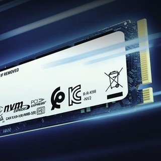 Kingston 金士顿 NV2系列 SNV2S NVMe M.2 固态硬盘 1TB（PCIe 4.0）