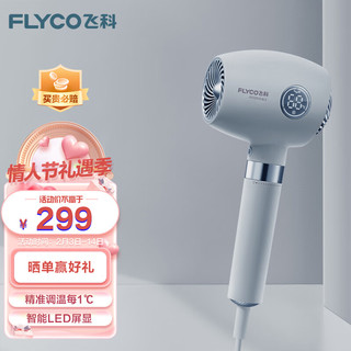 FLYCO 飞科 电吹风机 FH6366