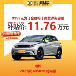 BYD 比亚迪 海豚 2021款 405KM 时尚版 纯电动