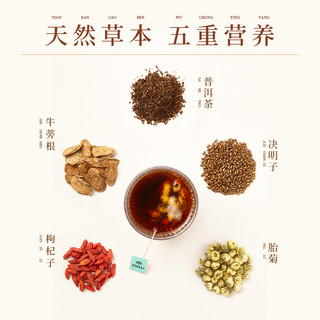 CHALI 菊花决明子普洱茶枸杞子牛蒡壶泡茶茶包茶里公司出品养生茶