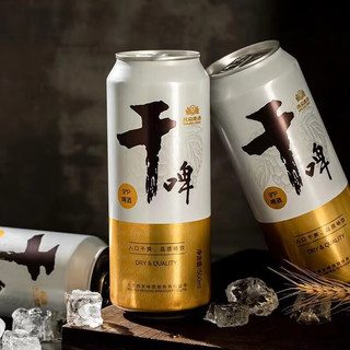 燕京啤酒 9度燕京干啤听装500ml*12