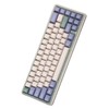 VARMILO 阿米洛 迷你洛系列 VXT67 67键 2.4G蓝牙 多模无线机械键盘 尤加利 阿米洛臻轻轴 RGB