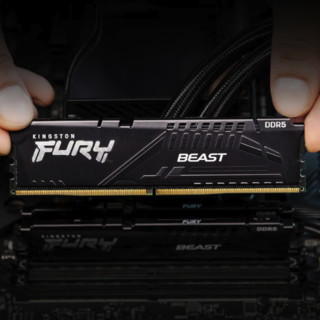 Kingston 金士顿 FURY Beast野兽系列 DDR5 6000MHz 台式机内存 马甲条 黑色 16GB C36