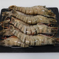 PLUS会员：鲟食 超大号巨型黑虎虾 8-10只装 长约21-24cm 净重900g