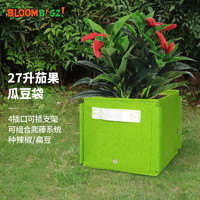 Bloombagz 正方形种菜家庭阳台方型花槽蔬菜盆种菜箱辣椒生长袋 27L绿色