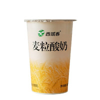 新疆西域春麦粒酸奶180gx10杯含丰富燕麦有嚼劲 麦粒酸奶*10杯