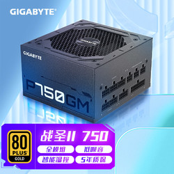 GIGABYTE 技嘉 P750GM 金牌（90%） 全模组ATX电源 750W