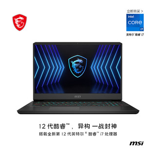 MSI 微星 冲锋坦克Pro GP76HX 十二代酷睿版 17.3英寸 游戏本 黑色（酷睿i7-12800HX、RTX 3080Ti 16G、16GB、1TB SSD+2K、240Hz、MS-17K5）