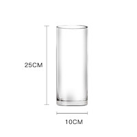 墨斗鱼 玻璃花瓶透明 客厅摆件直筒款25cm